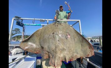Bowfisherman Shoots Pending World Record Butterfly Ray