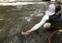 Salomone: The how and where of dry dropper rigs