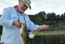 Bill May: Having success fishing the summer shallows