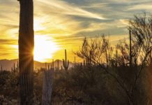 Western dude ranches flourish in Arizona, Colorado, Montana