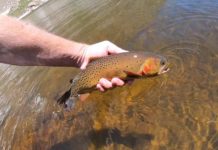 Video: How to Find and Fish Alpine Lakes for Trout