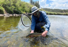 Pro Tips: How to Use the “Elimination Diet” to Catch Educated Trout