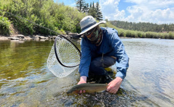 Pro Tips: How to Use the “Elimination Diet” to Catch Educated Trout