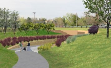 Opinion: Denver Needs to Become a City Inside a Nature Preserve