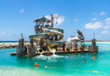 Top 20 Fun Things to do at Castaway Cay