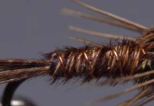 Video: The Magic of Pheasant-Tail Fibers