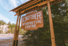 Learn to Fish Day at the Kingfisher Interpretive Centre near Enderby July 17 – Vernon News