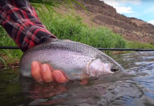 Video Pro Tips: A Simple Nymph Rig for Beginners