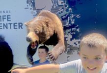 Carson Valley Youth Day draws record numbers