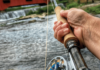Fly Fishing Casts A Spell – Indianapolis Monthly