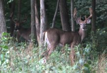 Families invited to National Hunting, Fishing Day