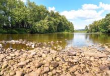 With drought impacting most bodies of water, Deerfield River attracts anglers