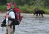 Fishing for bears in Alaska’s wild