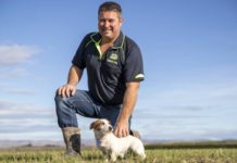 The Mataura River: The tale of Southland’s longest awa