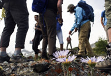 Nonprofit Glacier Institute Launches ‘Restoration’ Campaign