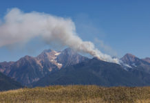 ‘To Live in a Burning World’