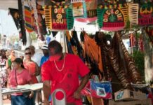 Philly Caribbean Festival brings island life sound, flavor