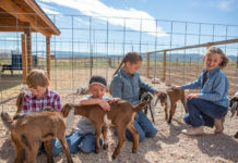 Tech-Free Vacation Ideas To Help Families Unplug