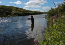 On a hunting opener, a diversion to fish that may cause an about-face