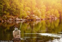 Mark Hume learned, demanded patience, skill, dedication, and a certain humility before nature