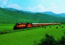 Train excursion on the Great Smoky Mountains Railroad set for Sept. 17 | Local News