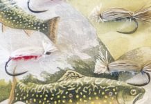 North Country Angling: Return of the Devil Bug | Fishing