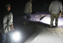 The epoch of coal is ending. Could an extraordinary fossil deposit help Kemmerer survive? | Wyoming News