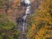 Prepare for autumn in Georgia State Parks with ‘LeafWatch’ | Albany Herald Entertainment