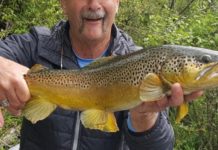 Fishing trout out close to home | Around Town