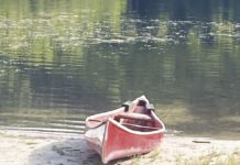 North Country Angling: Loons and brook trout | Fishing