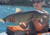 Joe’s Fishing Hole: Keep your eyes and ears open for lightning | Lifestyles