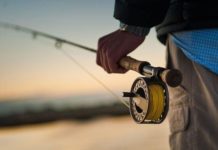 Fishing report: Hope you aren’t tired of terrestrials | State & Regional