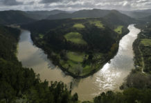 New Zealand river’s personhood status offers hope to Māori, against river’s degradation