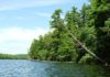 Canoeing in Maine: Trickey Pond in Naples offers crystal clear water