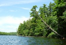 Canoeing in Maine: Trickey Pond in Naples offers crystal clear water