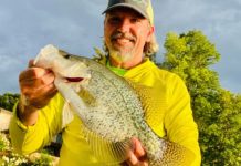Chicago fishing, Midwest Report: Bluegill, pinks, crappie, kings, largemouth, smallmouth, bowfin