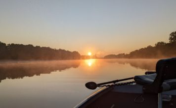 Chicago fishing, Midwest Report: Smallmouth, shoreline salmon/trout, drum, bluegill, catfish, coho
