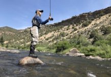 Salomone: Squeeze it | VailDaily.com