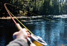 How to Get Started With Fly-Fishing