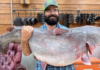 Mississippian breaks state record for giant catfish