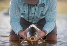Top 5 Flies for Rocky Mountain Carp