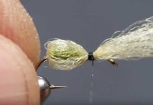 Video: Why You Should Use Antron in Fly Tying
