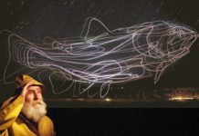 Artist Creates Amazing, Giant Flying Trout Above CSU