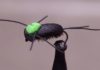 Video: How to Tie the Foam Beetle 2.0