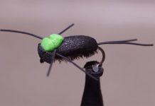 Video: How to Tie the Foam Beetle 2.0