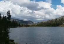 Time for Hoot Owl fishing