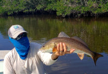 Stream to Salt IV: Fly Design