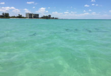 Stream to Salt V: Timing the Strip Set