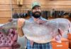 Mississippi Trophy Division record broken with 104-pound blue catfish