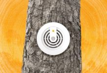 Fire suppression policy: Does it help the West or make it worse?